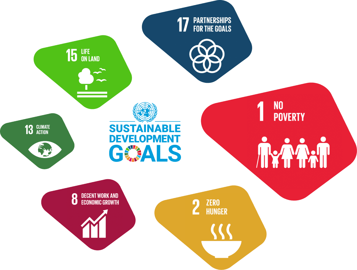 UN SDG Goals